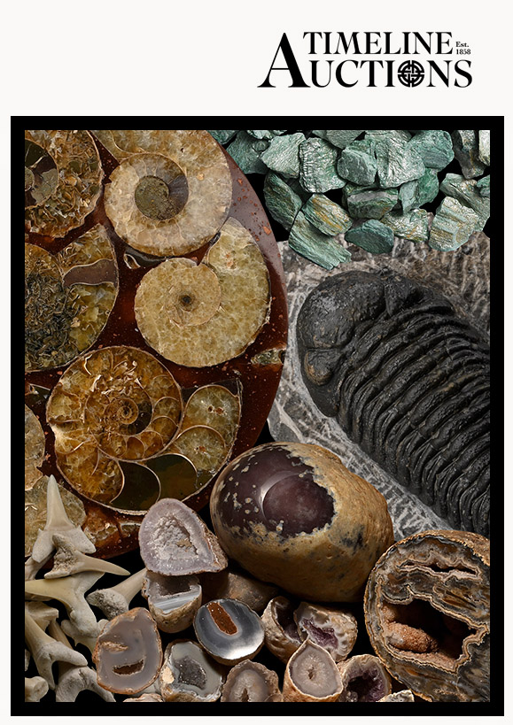 Fossils, Minerals & CrystalsOpen for entries